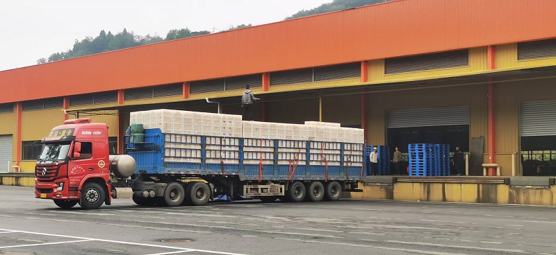 1761897053262452.jpg 微信圖片_20251031143921.jpg